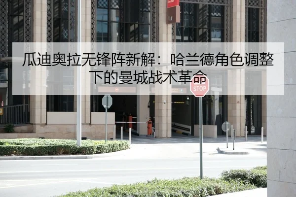 gua-di-ao-la-wu-feng-zhen-xin-jie-ha-lan-de-jue-se-tiao-zheng-xia-de-man-cheng-zhan-shu-ge-ming-1-330.jpg