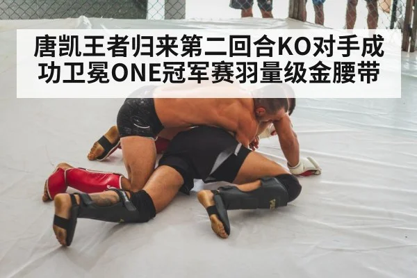 mixed martial arts fight